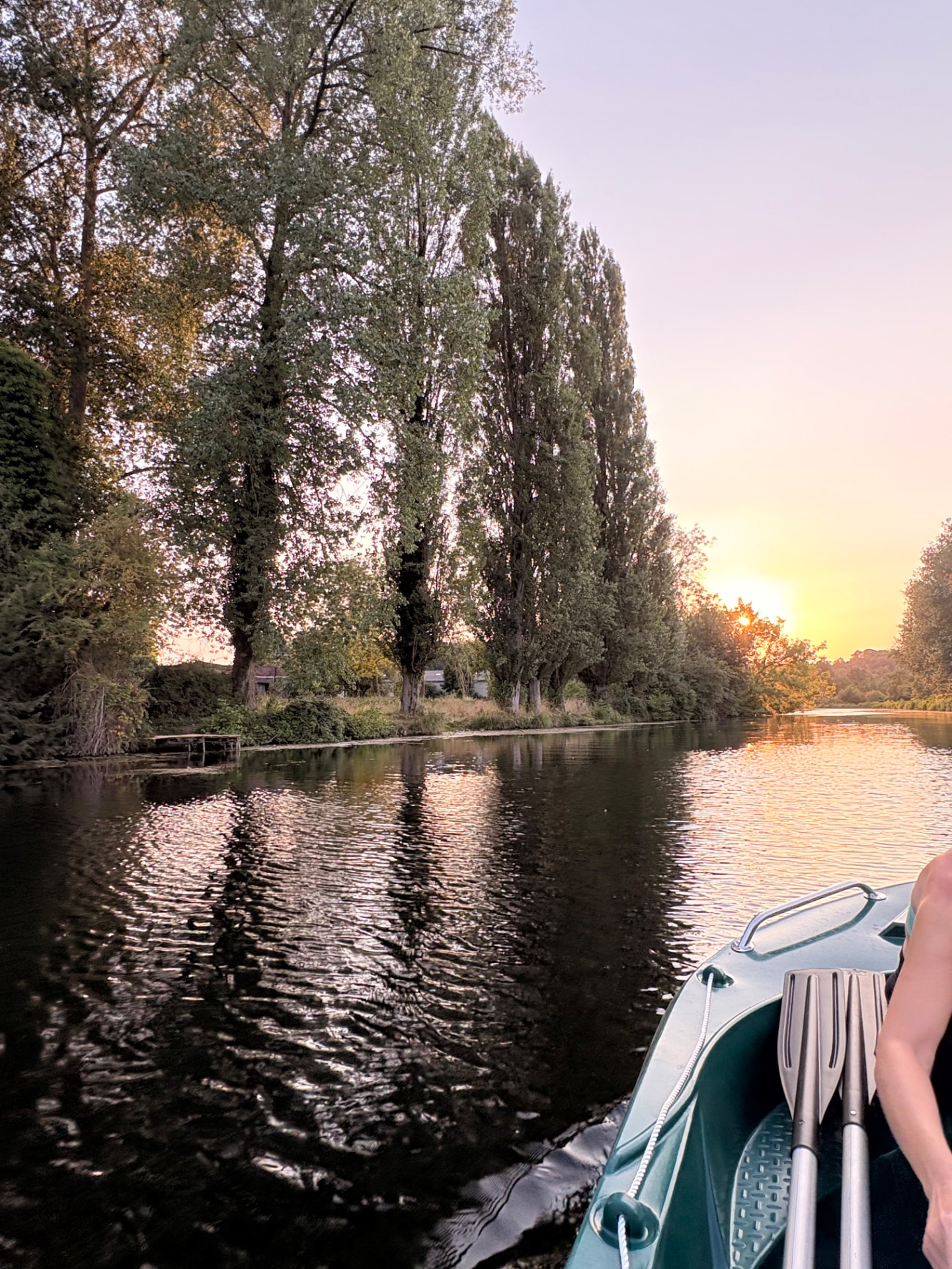 Rangée de peupliers au crépuscule le long du canal