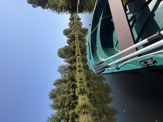 Proue d'une barque verte sur le canal de la Somme bordé d'arbres
